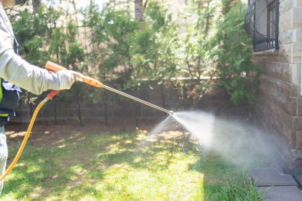 Indoor Pest Control in Round Lake Beach, IL